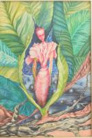 Bart (?) jelzéssel, XX. sz.vége/XXI sz. eleje: Nimfa. Vegyes technika, papír, üvegezett fakeretben, 29×20 cm