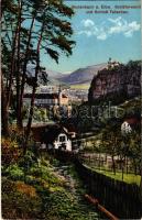 Decín, Bodenbach am Elbe; Schäferwand und Schloss Tetschen. Verlag von Alois Barsch / general view, castle (vágott / cut)