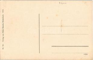 Decín, Bodenbach am Elbe; Schäferwand und Schloss Tetschen. Verlag von Alois Barsch / general view, ...