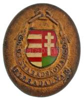 DN "56-os szabadságharcos forradalmár" részben műgyantás bronz jelvény (25x20mm) T:AU