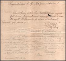 1919 Temesvár, engedély kérelem a szerb királyi belügyminisztériumhoz Budapestre, egészségügyi vizsg...