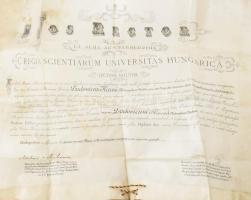 1915 Bp. jogi diploma, függő viaszpecséttel. sérült, kissé foltos