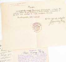 cca 1940-1960 Novotny Péter levente főoktató iratanyaga, igazolványai (a II. világháború alatti és u...