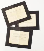 1912-1916 Nyáregyházi báró Nyáry Alfonz (1871?1916). jogász, Hont megyei árvaszéki elnök, Szalka kerület országgyűlési képviselője és Báró Nyáry Sándorné Roffi Borbély Paulina (1835-1912) halálozási értesítője, 2 db. + Alsó-csernátoni id. Csiky Kálmán (1843-1905) jogász, jogtörténész, országgyűlési képviselő, fordító, költő