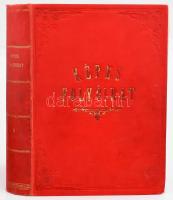 1897 Nagy Miklós (szerk.): Képes folyóirat. A Vasárnapi Ujság füzetekben. 1897. I. félév, XXII. köte...