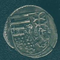 II. Ulászló 1490-1516. Obulus Ag ÉH 648c. T:2 lyukak