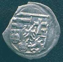 II. Ulászló 1490-1516. Obulus Ag ÉH 649b. T:2 peremtörés