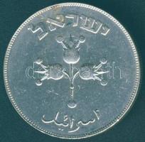 Izrael 1949. 500Pruta Ag T:2-/3+