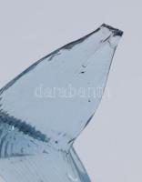 Üveg hal, farkán kis pattanással 25 cm