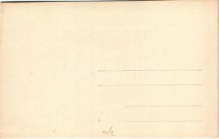 Budapest XIII. Margitsziget, Palatinus strandfürdő, háttérben budai gyárak. photo