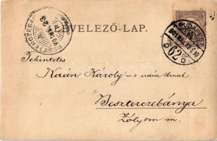 1901 Besztercebánya, Banská Bystrica; Kaán Károly (1867-1940) erdész és barátja a környéken / Hungar...