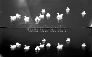 G. Szántó András (1937-2002): Libák. 2 darab fotó, egyik hátoldalon pecséttel jelzett, egyiken gyűrődéssel, 15x39 cm