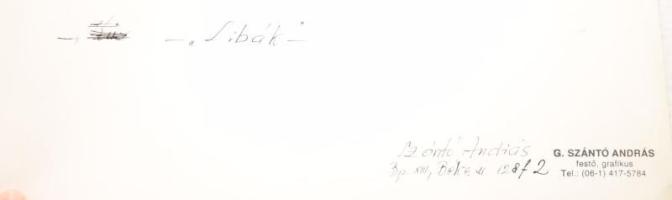 G. Szántó András (1937-2002): Libák. 2 darab fotó, egyik hátoldalon pecséttel jelzett, egyiken gyűrő...