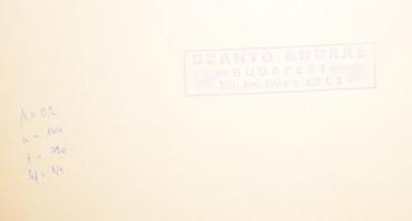 G. Szántó András (1937-2002): Arc. Fotó, papír, kartonon, hátoldalán pecséttel jelzett, 38x27 cm