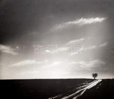 G. Szántó András (1937-2002): Tájkép / Magányos fa. Fotó, papír, kartonon, hátoldalán pecséttel jelzett, 29x39 cm