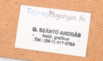 G. Szántó András (1937-2002): Tájkép / Magányos fa. Fotó, papír, kartonon, hátoldalán pecséttel jelz...