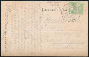 1911 Képeslap "VÖRÖSTORONY-ALVINCZ" vasúti mozgóposta bélyegzéssel