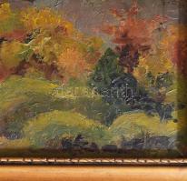 Jelzés nélkül: Házak a hegyoldalban. Olaj, karton, fa keretben, kis lyukkal a képen. 29x39 cm