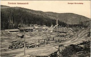 Gelence, Ghelinta; Zernyei fűrésztelep, iparvasút, gyár. Bogdán A. fényképész / Zarna sawmill, industrial railway, factory (EK)