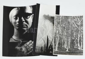 G. Szántó András (1937-2002): 3 darab művészfotó. Jelzés nélkül, 23x16 cm, 23x10 cm, 18x13 cm