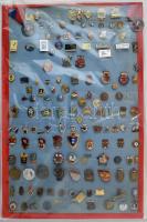 ~143db vegyes magyar és külföldi jelvény a szocialista időszakból, közte festett, műgyantás, zománcozott darabok, főleg katonai és sport téma, lapra tűzve T:vegyes