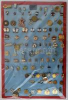 ~104db vegyes magyar jelvény a szocialista időszakból, közte festett, műgyantás, zománcozott darabok, főleg KISZ téma, lapra tűzve T:vegyes