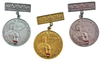 ~1970-1980. "A szakma ifjú mestere" arany, ezüst és bronz fokozatai, színezett Al jelvények T:AU