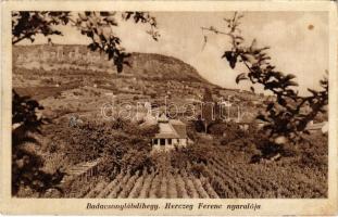1934 Badacsonylábdihegy, (Badacsonytördemic), Herczeg Ferenc nyaralója (EK)
