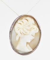 Ezüst (Ag) láncon ezüst (Ag) foglalatos kámea, jelzett, bruttó: 6,2g, h: 19 cm.