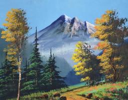 Jelzés nélkül, XX. sz. vége/XXI sz. eleje: 20 db tájkép. Tempera, karton. Egyik lap széle kissé sérü...