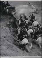 cca 1916 Balogh Rudolf (1879-1944) fényképész, fotóriporter felvétele (Ágyú vontatása az I. világháborúban), 1 db modern nagyítás, jelzés nélkül, 21x15 cm