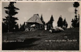Aranyosfő, Scarisoara; Stana / faház / wooden hut. No. 102 Foto Bach Alba Julia 1935, photo