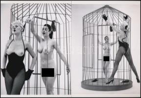 cca 1950 Glass Zoltán (1902-1981) magyar - angol fotóművész felvételei (Kalitkában), 2 db modern nagyítás a néhai FOTÓ újság (1954-1989) archívumából, jelzés nélkül, 21x15 cm