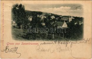 1899 (Vorläufer) Savanyúkút, Bad Sauerbrunn; (Rb)