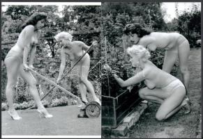 cca 1950 ,,Kertvárosi feleségek", szolidan erotikus felvételek, 2 db modern nagyítás, jelzés nélkül, 21x15 cm