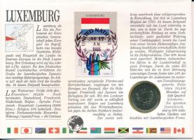 Luxemburg 1980. 10Fr felbélyegzett borítékban, ENSZ bélyegzéssel, német nyelvű leírással T:UNC Luxem...