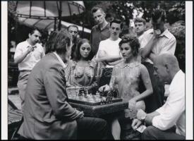 cca 1970 ,,Izgalmas sakkparti a parkban", 1 db modern nagyítás, jelzés nélkül, a néhai Lapkiadó Vállalat archívumából, 15x21 cm