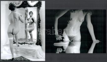 cca 1960 ,,Hölgyek örömei", szolidan erotikus felvételek, 2 db modern nagyítás, jelzés nélkül, 15x21 cm és 21x15 cm
