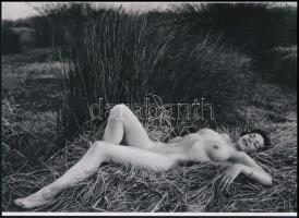 cca 1936 ,,Fészeklakó", szolidan erotikus felvétel, 1 db modern nagyítás, jelzés nélkül, 15x21 cm