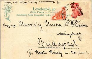 1924 Tátra, Magas Tátra, Vysoké Tatry; Felka, látkép. Feitzinger Ede kiadása 1902/12. No. 390/2 / ge...