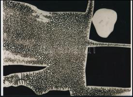 cca 1938 Kepes György (1906-2001) magyar - amerikai festő- és fotóművész alkotása modern nagyításon (fotogram kompozíció 9#), jelzés nélkül, a néhai Fővárosi Fotó Vállalat (FŐFOTÓ) Váci utcai Fotóművészeti Galériájának archívumából, 21x15 cm