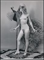 cca 1954 ,,Pávatollal feldíszítve", szolidan erotikus felvétel, 1 db modern nagyítás, jelzés nélkül, 21x15 cm