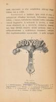 Nádaskay Béla: Állati szülészettan vagyis vemhesség- és az ellésről szükséges tudnivalók. I-III. rés...