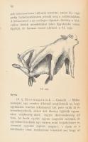 Nádaskay Béla: Állati szülészettan vagyis vemhesség- és az ellésről szükséges tudnivalók. I-III. rés...