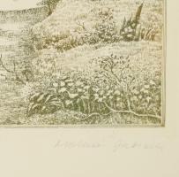 Molnár Gabriella (1940-): Liget. Rézkarc, papír. Jelzett, számozott (19/100). 29×39 cm. Üvegezett fa...