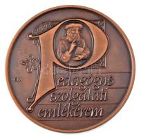 Fritz Mihály (1947-) DN "Pedagógus Szolgálati Emlékérem" egyoldalas bronz emlékérem dísztokban (42,5mm) T:UNC