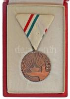 ~1980. "Ifjúságért" bronz érdemérem mellszalagon, miniatűrrel, eredeti tokban T:UNC