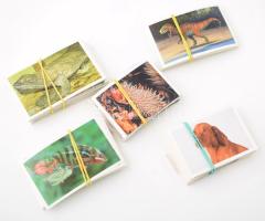 Állatos gyűjthető matricák, több különböző sorozatból, összesen kb. 250 db