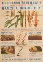 cca 1930 Védekezzél a kukoricamoly ellen. M. kir. Földművelésügyi Miniszter képes plakát Hajtva, minimális beszakadással 60x84 cm