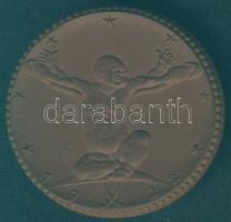 Német Birodalom / Weimari Köztársaság / Leipzig "Kinderhilfe" 20M barna porcelán szükségpé...